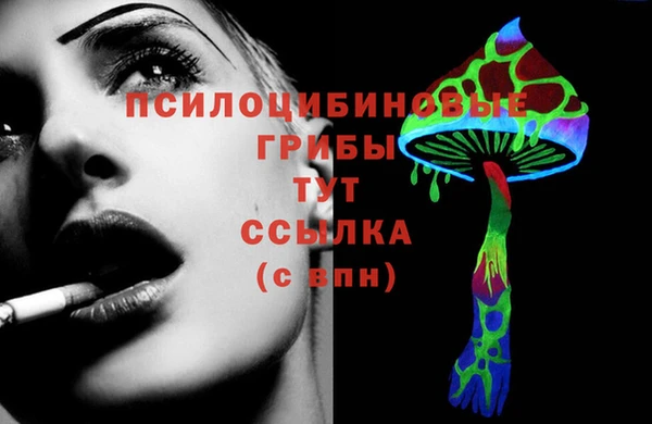 MDMA Медвежьегорск