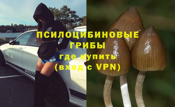 таблы Медногорск