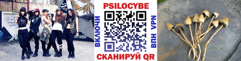 Псилоцибиновые грибы мухоморы  Каспийск 