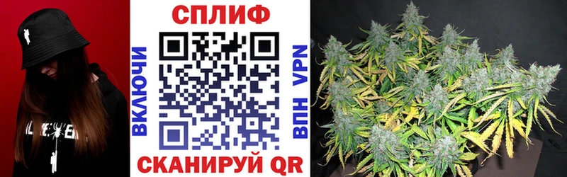 купить наркоту  Каспийск  Канабис White Widow 