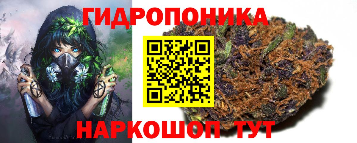 Каннабис индика Каспийск