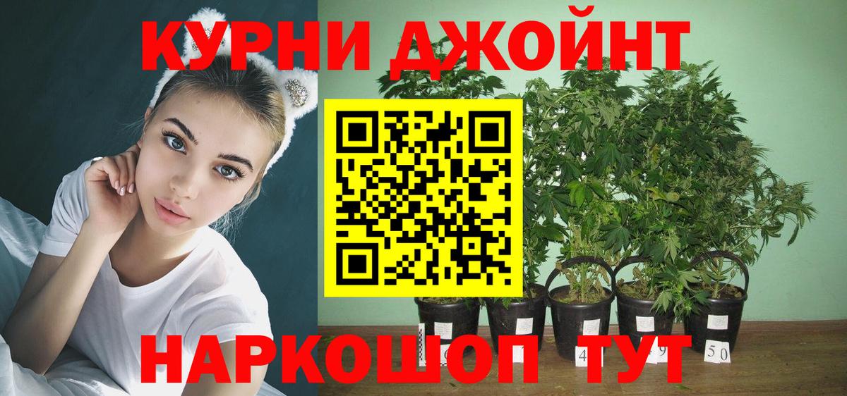 Шишки марихуана план  Бошки марихуана сатива  Каспийск  Бошки марихуана Ganja 